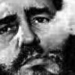 Meet your Posher, Steve